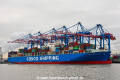 COSCO Netherlands (KB-D121218-01).jpg