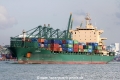 Cardonia (MS-100814-07).jpg