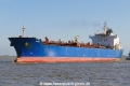 Dewey (OK-250420-1).jpg