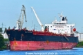 Dee4 Kastania (KB-D230626-02).jpg