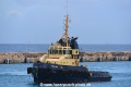 Pelican 281115-03.jpg