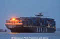 Hanjin Mumbai (180108-2).jpg