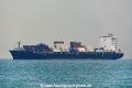 Carolina Trader OS-101019.jpg