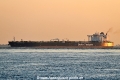 Delta Apollonia OS-301025-03.jpg