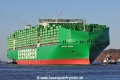 Ever Eco TL-301225-03.jpg