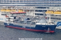 Optimus TL-100623-1.jpg