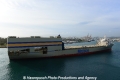 Mokihana 301113-08.jpg