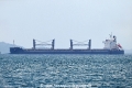 Dioni OS-191023-01.jpg
