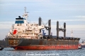 Bulker Bee 30 OS-210225-28.jpg