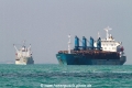 Reefer+Bulker Reede-SGP (MM-220211).jpg
