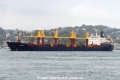 Camellia (OK-150823-2).jpg