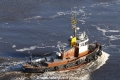 Robbe (OK-280317-1).jpg