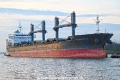 Bulker Bee 30 OS-210225-15.jpg