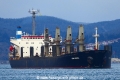 Can Yucel (OK-200315-0).jpg