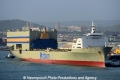 Mokihana 301113-14.jpg