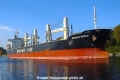 Bunun Noble (LW-221022-09).jpg
