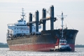 Bulker Bee 30 OS-210225-05.jpg