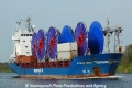 Ocean Bird (OK-060513-1).jpg