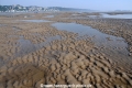 Sandbank-Elbe 21011-01.jpg