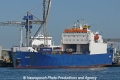 Phocine (US-020611-1).jpg