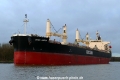 Buna Arrow (KK-071219-1).jpg