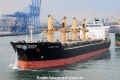 Bulkers Alessia OS-010314-03.jpg