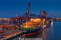 HMM Hamburg KKi-020920-2.jpg
