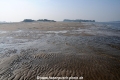 Sandbank-Elbe 21011-03.jpg
