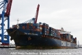 CMA CGM Strauss 081014-14.jpg