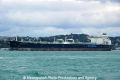 Minerva Nounou (OK-031013-1).jpg