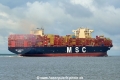 MSC Elenoire (KK-070725-5).jpg