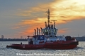 RT Zoe 291212-01.jpg