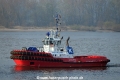 SD Dolphin 030414-01.jpg