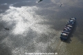 Schiff+Elbe 300720-05.jpg