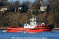 SD Dolphin (KB-D010114-02).jpg
