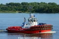 SD Dolphin 020614-02.jpg