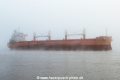 Catherine Manx TL-150717-1.jpg