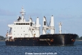 Carolina Bolten TL-061022-1.jpg