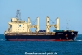 Cendana SH-310822-01.jpg