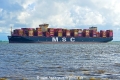 MSC Carmela (OK-010825-3).jpg