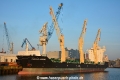 Caspian Harmony (KB-D291216-01).jpg