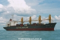 Cape Nelson (OS-FN499-1).jpg