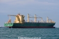 Cape Male OS-141016-25.jpg