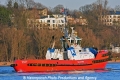 SD Dolphin (KB-D010114-05).jpg