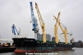 Caspian Harmony (KB-D261216-02).jpg