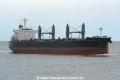 Captain Haddock JG-290324-2.jpg
