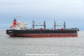 Captain Haddock JG-290324-4.jpg