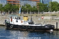 Elch (KK-240719-1).jpg
