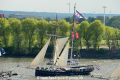 Wylde Swan 080515.jpg