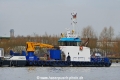 Noorcat (OK-230221-1).jpg